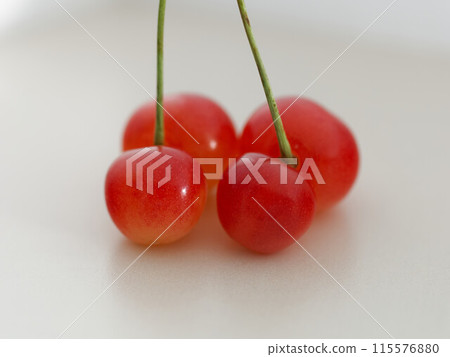 Cherry twins: a close-up Cherry twins: a close-up 115576880