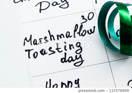Celebratory Marshmallow toasting day Photo Celebratory Marshmallow toasting day Photo 115576899