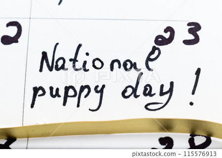 International Dog Day, held on 26 August 115576913