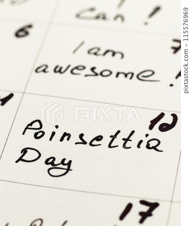 National poinsettia day Photo calendar 115576969