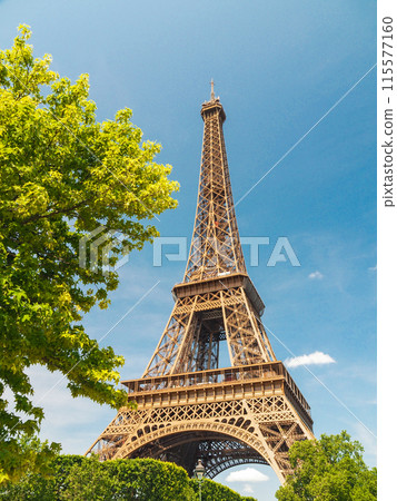 Eiffel Tower, symbol of Paris, France 115577160