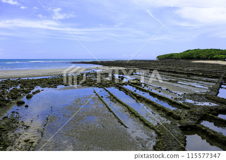 Qingdao and demon's washboard 115577347