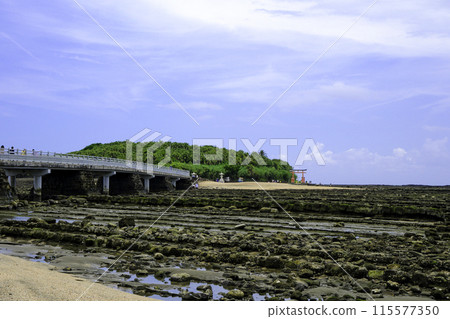 Demon's Washboard and Aoshima 115577350