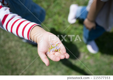 Children placing flowers on their palms, sitting on the grass looking for insects and other creatures; summer vacation independent research and observation Children placing flowers on their palms, sitting on the grass looking for insects and other creatures; summer vacation independent research and observation 115577353
