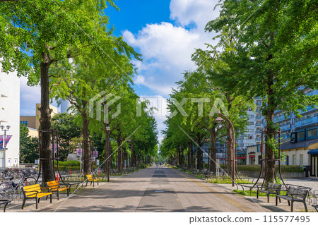 光丘公園接觸之道 115577495