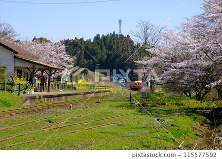 Sakura and Kominato Railway Sakura and Kominato Railway 115577592
