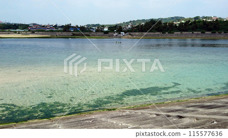 沖繩島 沖繩島 115577636