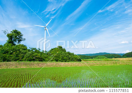 風力渦輪機 115577851