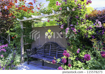 Bench surrounded by flowers 115578273