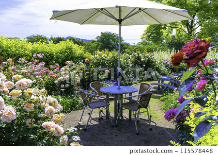 Rose Blooming Cafe 115578448