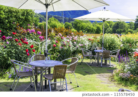 玫瑰花盛開的咖啡廳區 115578450
