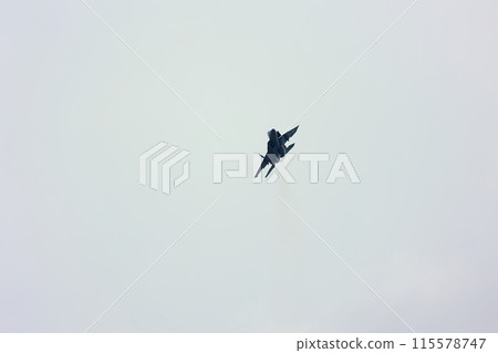 F-15 exhibition flight 115578747