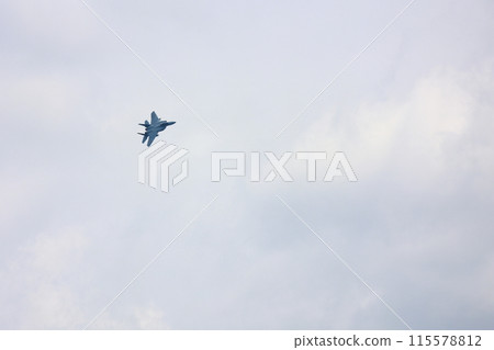F-15展覽飛行 115578812