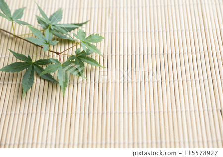 藍楓夏季形象 115578927