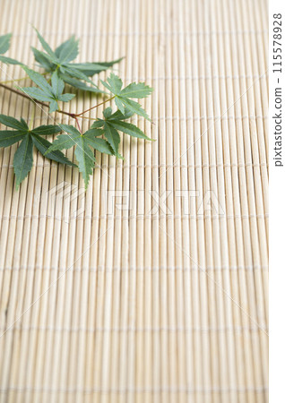 藍楓夏季形象 藍楓夏季形象 115578928