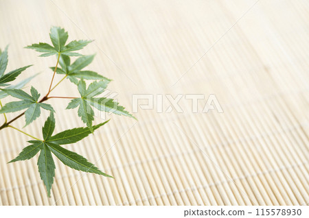 Green maple leaves - summer image 115578930