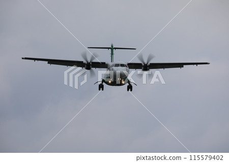 aircraft 115579402