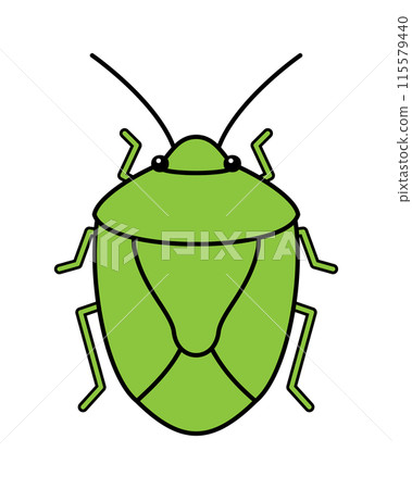 Simple illustration of a stink bug 115579440