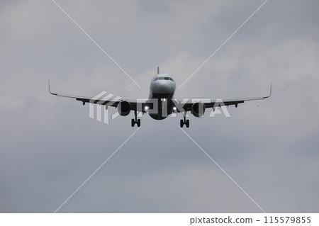 飛機 飛機 115579855