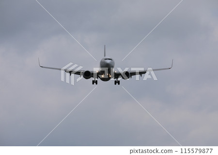 飛機 115579877