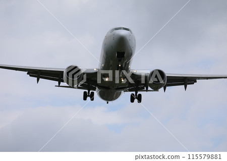 飛機 115579881