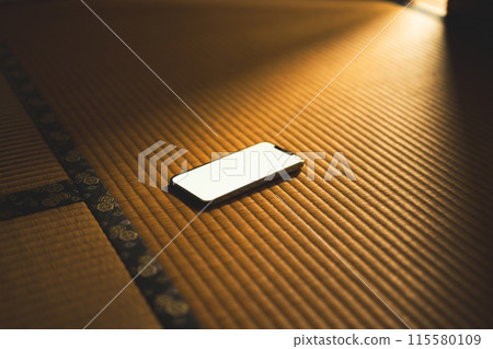 日式房間內放置的智慧型手機 日式房間內放置的智慧型手機 115580109