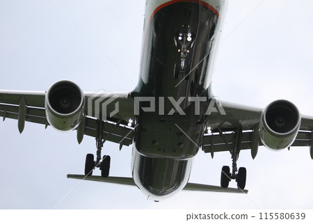航空業 115580639