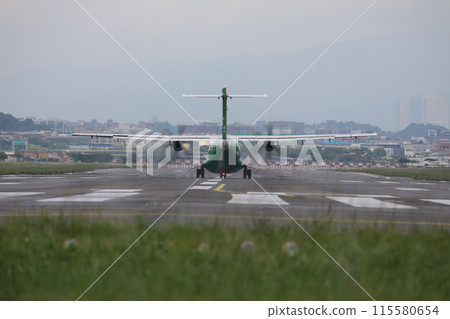 Domestic line 115580654