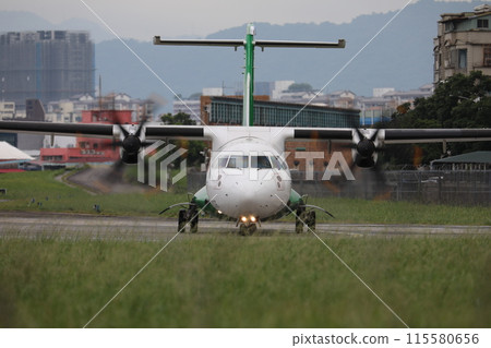 Domestic line 115580656