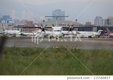 Domestic line 115580657