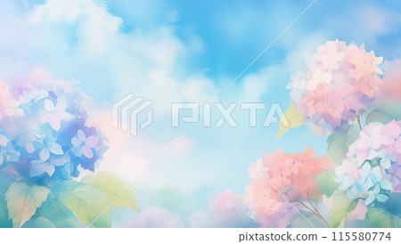 Rainy sunny hydrangea 115580774