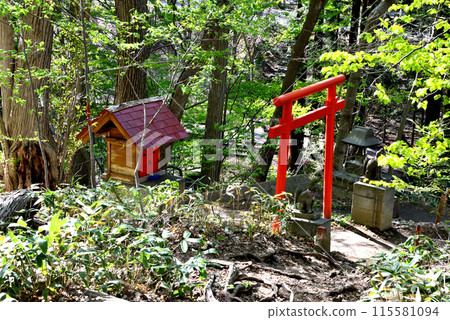 Panoramic view of Maruyama Inari Shrine in Chuo Ward, Sapporo Panoramic view of Maruyama Inari Shrine in Chuo Ward, Sapporo 115581094