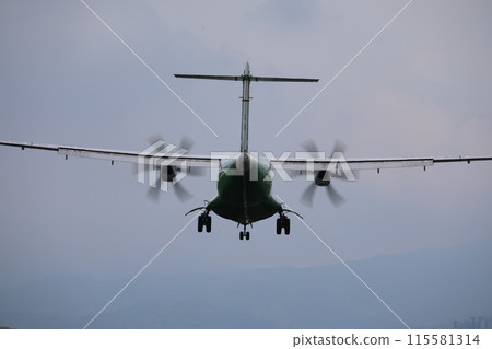 飛機 115581314