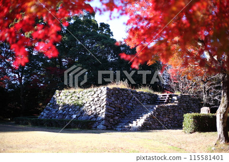 秋葉和城堡廢墟 秋葉和城堡廢墟 115581401