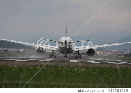 廣體客機 115581419