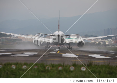 wide-body airliner wide-body airliner 115581421