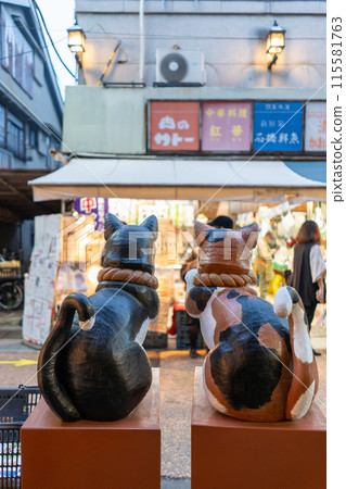 東京懷舊的谷中銀座商店街的風景 東京懷舊的谷中銀座商店街的風景 115581763