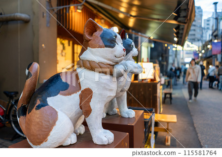 Scenery of the nostalgic Yanaka Ginza shopping street in Tokyo 115581764