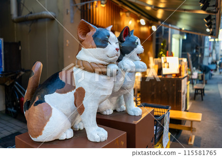 Scenery of the nostalgic Yanaka Ginza shopping street in Tokyo 115581765