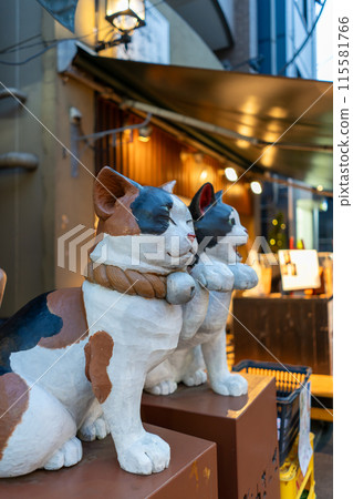 Scenery of the nostalgic Yanaka Ginza shopping street in Tokyo 115581766