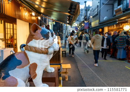 東京懷舊的谷中銀座商店街的風景 115581771