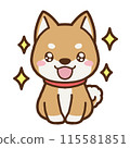 沒有背景的插圖，眼睛閃亮的柴犬 115581851