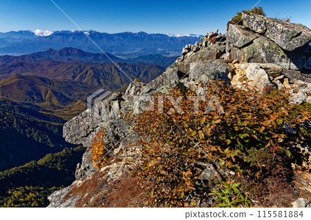 從奧秩父金風山眺望紅葉的南阿爾卑斯山脈 115581884