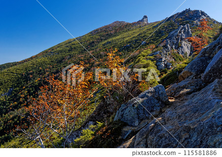View of the summit of Mt. Kinpu in Okuchichibu from the autumn-colored ridgeline View of the summit of Mt. Kinpu in Okuchichibu from the autumn-colored ridgeline 115581886
