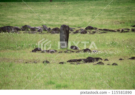 Oyu Stone Circle and Jomon Site (Kazuno City, Akita Prefecture) 115581890