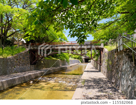 兵庫縣西宮市綠色宿川公園河添橋 115582068