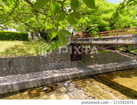 Kawazoe Bridge, Shukugawa Park, Nishinomiya City, Hyogo Prefecture Kawazoe Bridge, Shukugawa Park, Nishinomiya City, Hyogo Prefecture 115582072
