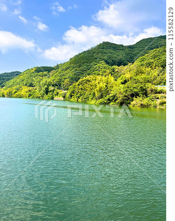 Dam lake surrounded by fresh greenery 115582129