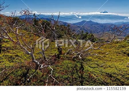 從金峰山山脊看到的富士山，秋色如畫 115582139