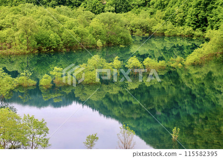 秋番湖水下森林（秋田縣仙北市） 115582395